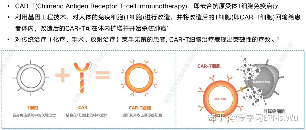 120万一针的car-t疗法真的有效吗?免疫细胞存储和cart治疗有关系吗?