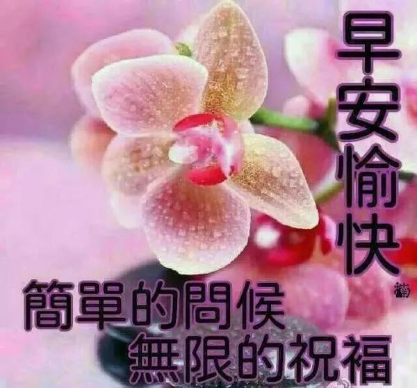 美女问候早安图片,最新版早上好漂亮图片大全
