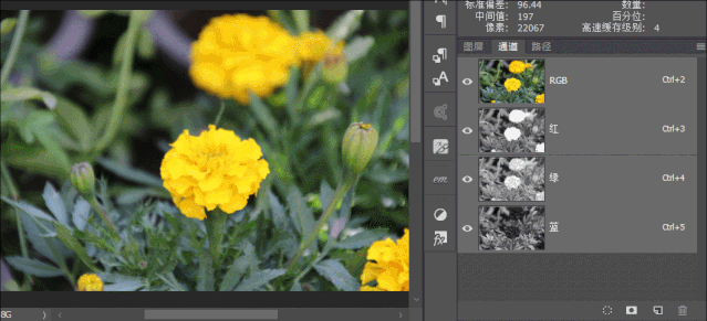 photoshop基础第二节--选区 - 知乎