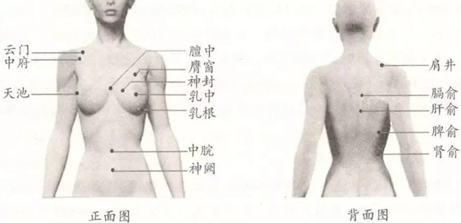 催乳师必备基本知识|产褥期乳房护理的主要部位及穴位
