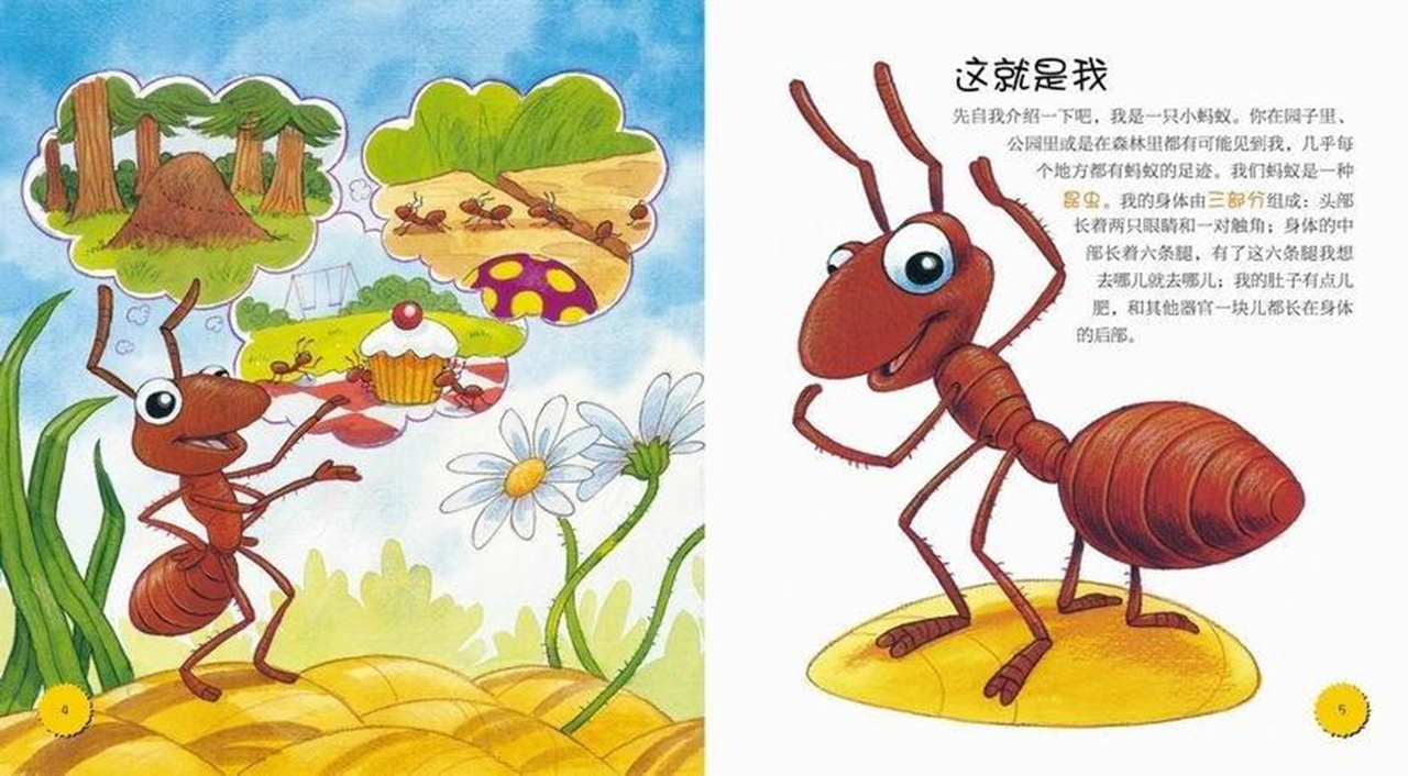 还是在生物科普书上,还是我们生活当中,我们都能见到和了解蚂蚁这种小