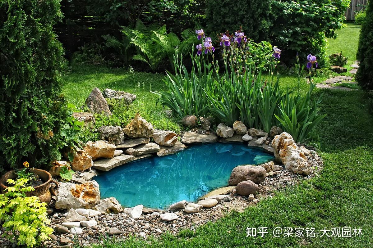 亲水性花园靠驳岸塑造