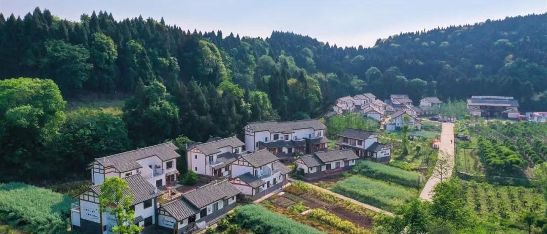 坚决守住脱贫底线 持续巩固脱贫成果|简阳市2019年省级脱贫攻坚成效