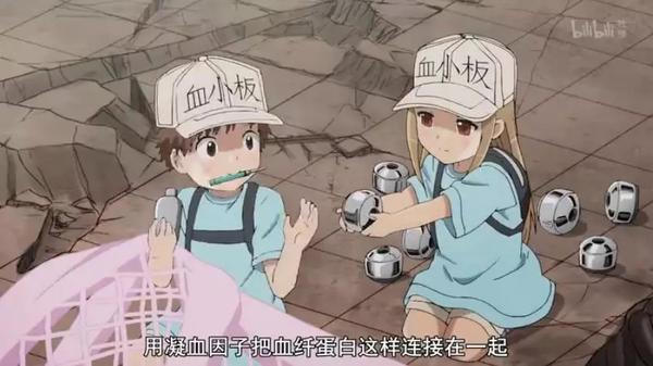 时隔14年央视再次引入国外动画工作细胞到底有什么魔力