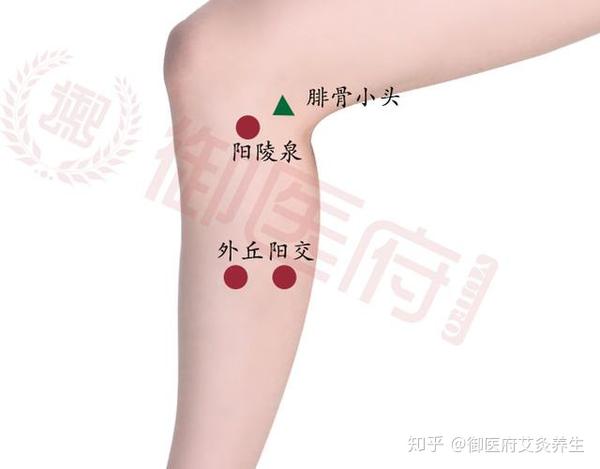 阳陵泉穴