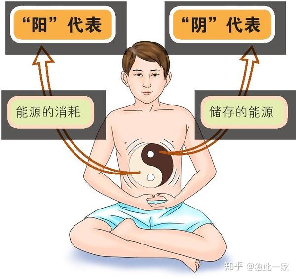 腰疼的感悟:为什么说肾好,腰才不老.肾虚的调理方法太实用了