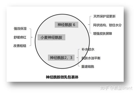 神经酰胺 2:是人体皮肤和头发的重要组成成分,提升肌肤保水能力,修护