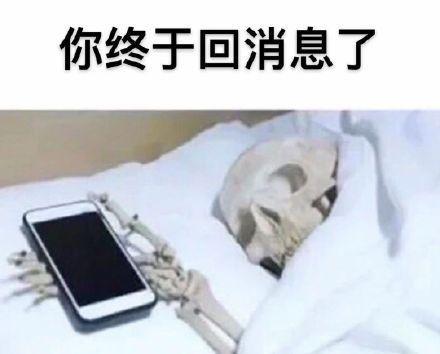 有哪些让人一看就想加你的沙雕网名