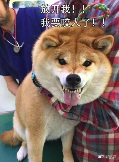 我是服气的,真服气的