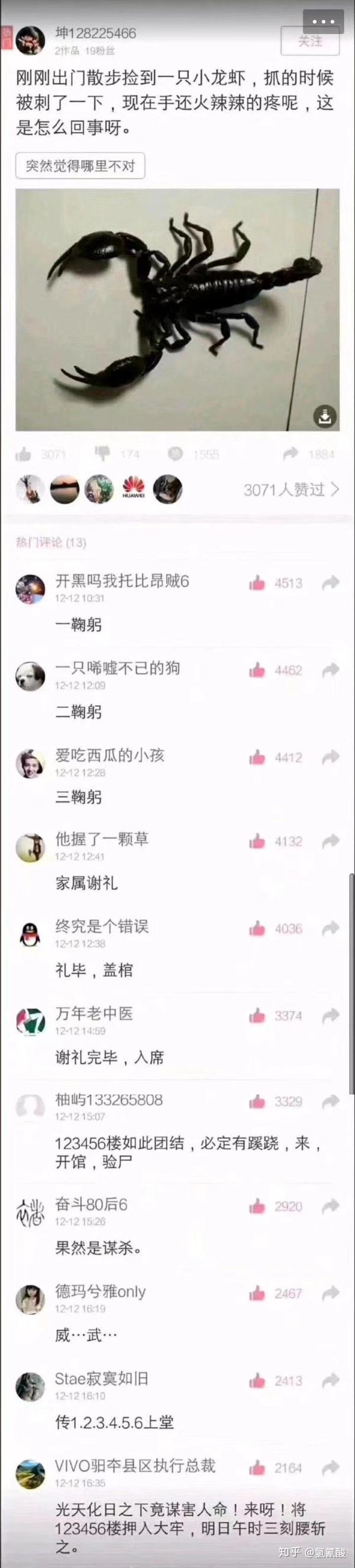 你见过那些神评论?