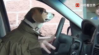 不过快餐点小哥哥都一脸冷漠不配合,仿佛看智障的表情怎么肥四哈哈哈