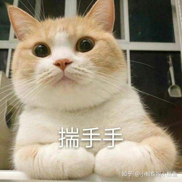 你有哪些关于猫狗的表情包?