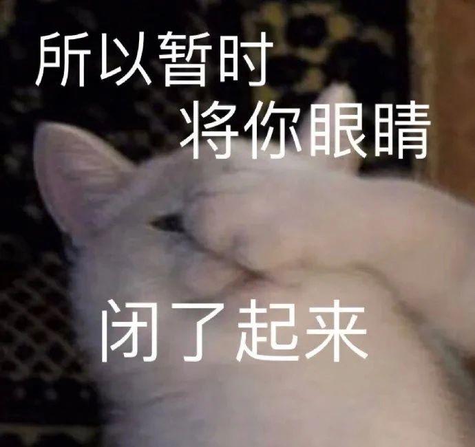 热门表情包图片:没错,你说的都对