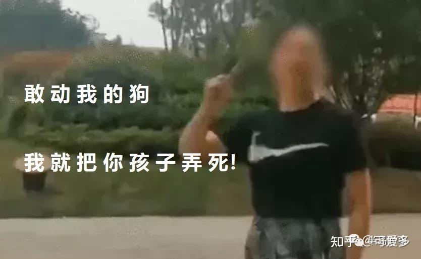 徽州宴"敢动我的狗,我就把你孩子弄死!"人命真不如有钱人的狗值钱?