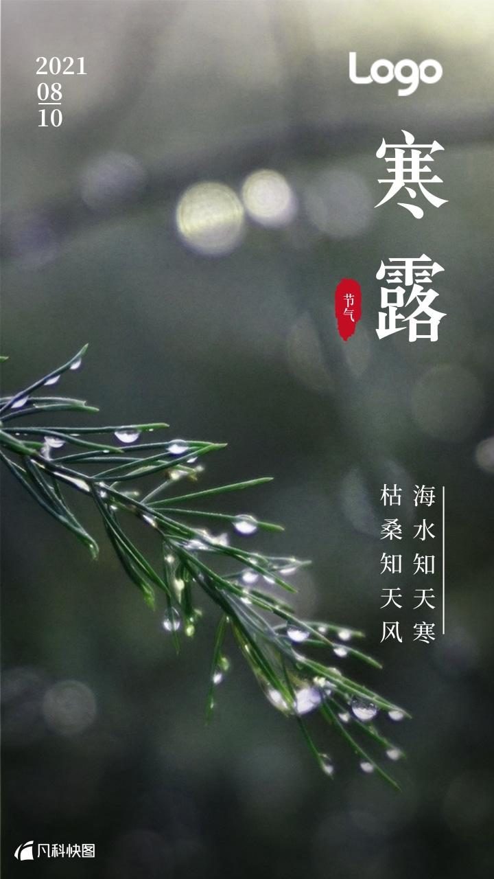 寒露至,我已陷入深秋|关于寒露的海报文案