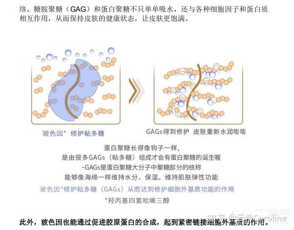 玻色因也能通过促进胶原蛋白的合成,起到紧密链接细胞外基质的作用