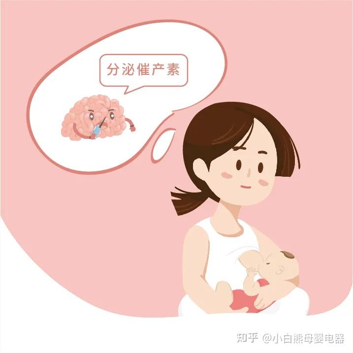 哺乳期怀孕还能继续母乳喂养吗