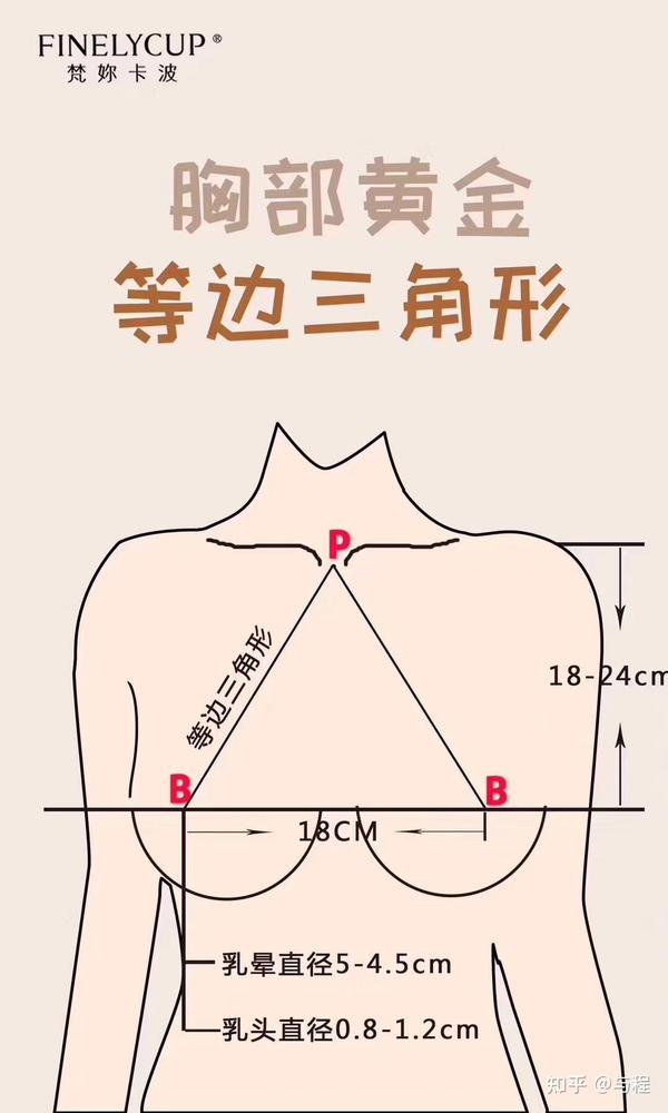 这些方法教你轻松告别胸外扩