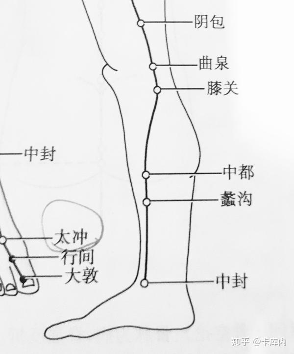 (一)蠡沟 络穴 [定位]在小腿内侧,内踝尖上5寸,胫骨内侧面的中央.