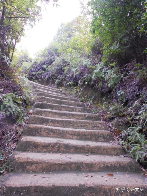 不如一起去爬山