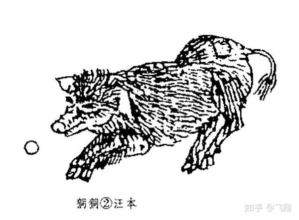 【解说】:狪狪又称珠豚,是一种奇兽,样子像猪,却以兽面孕珠,其叫声一
