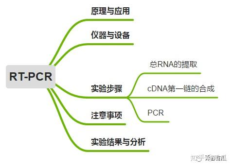 实验教程rtpcr操作