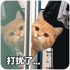 你们有哪些有趣的表情包?