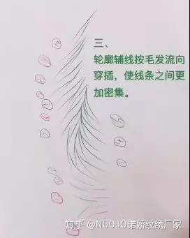 野生眉线条眉排列技巧有多少种画法?诺娇资深纹绣师分享赶紧收藏