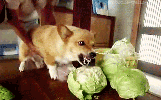 tx公布王者最强防沉迷12岁以下禁止充值将来甚至禁止游戏