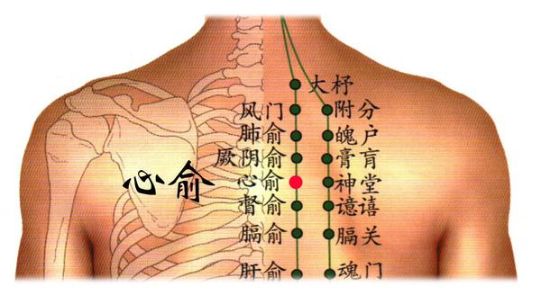 巨阙:位于上腹部,前正中线上,当脐中上6寸.