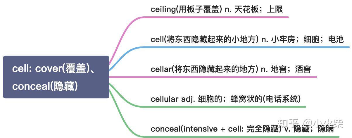 以c开头的83组常用词根的思维导图