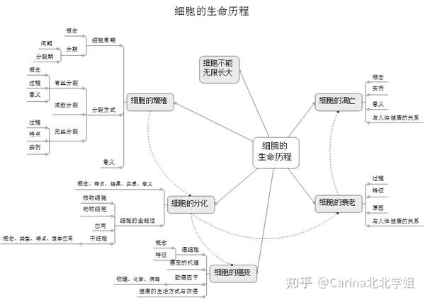 高中生物,【新课标】学科思维导图,帮你梳理正确的知识框架结构