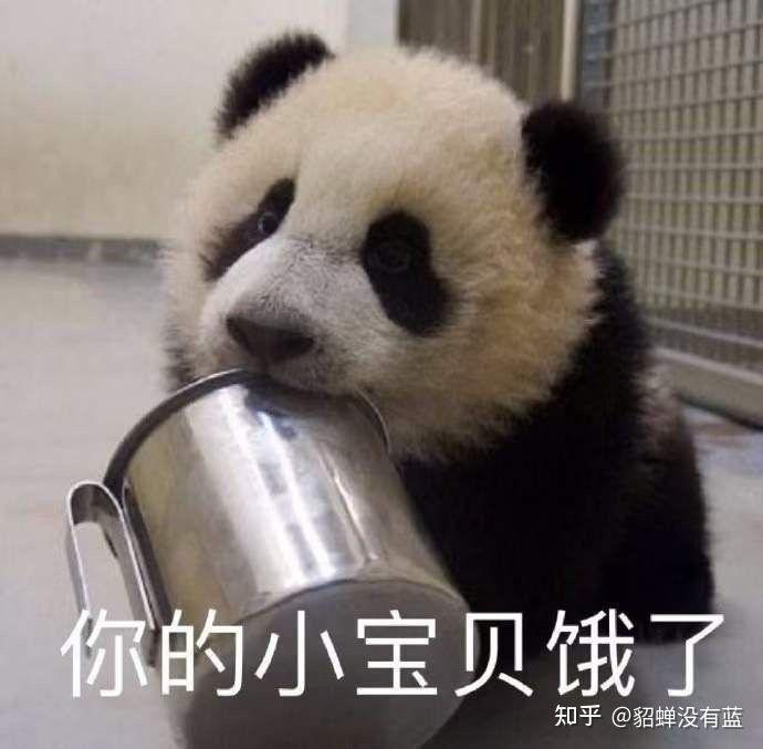 有没有那种很调皮可爱的表情包?