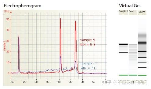 默克sigma实验分享 基因组DNA样品纯化和质量评估 知乎