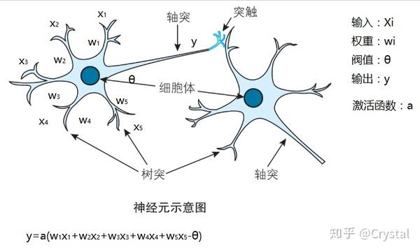 三幅图带你纵观神经元到图像识别