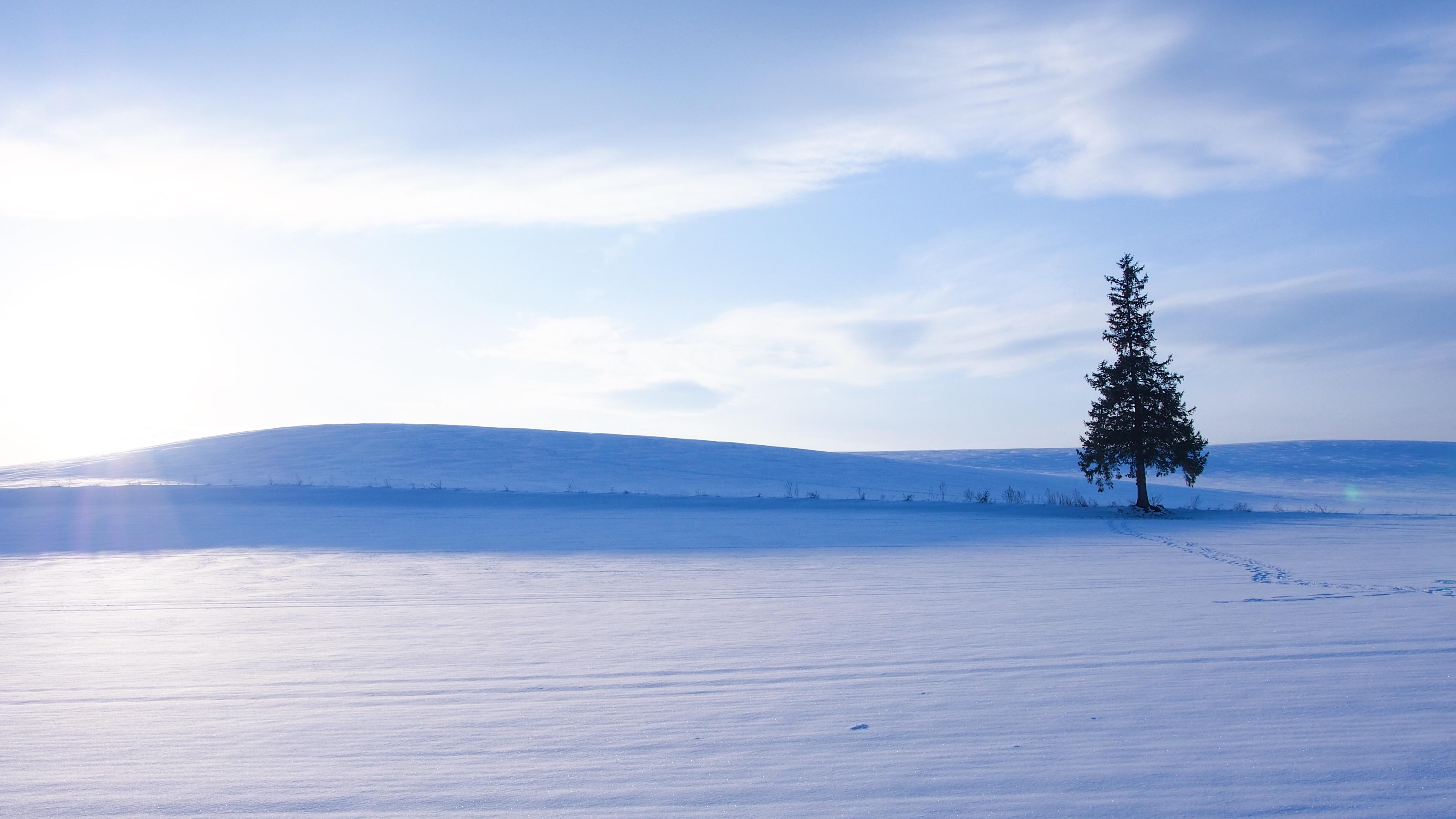 北海道|去看全世界最美的雪