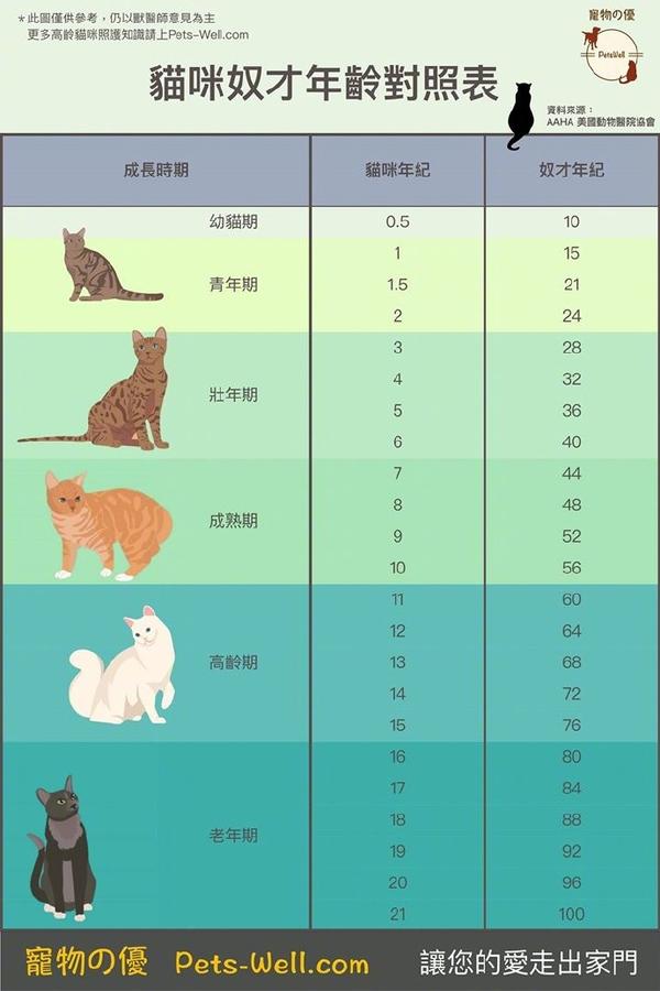 猫咪奴才年龄对照表!