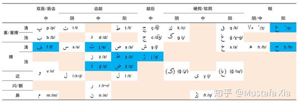 阴影为仅在非固有词中出现的字母;软腭音也可以构拟为对应的小舌音