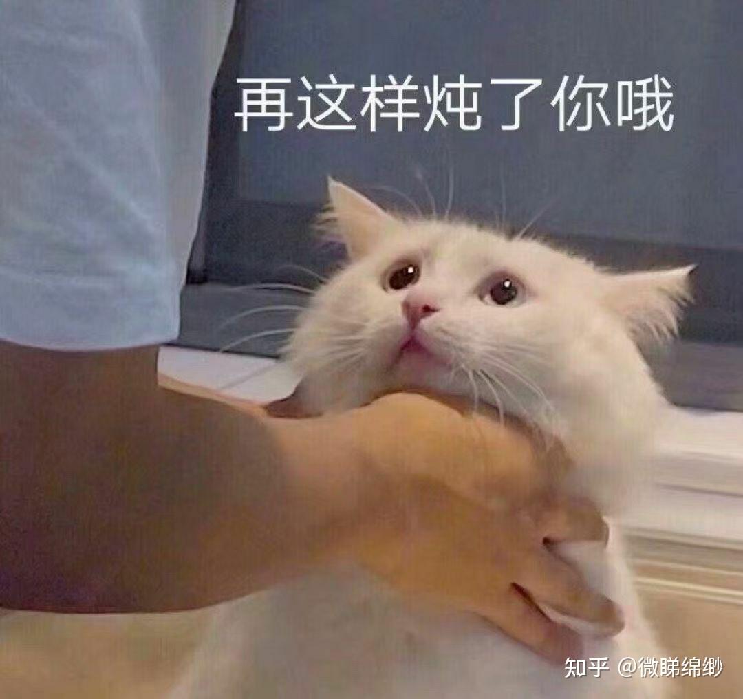 猫咪脚臭是种怎样的体验?