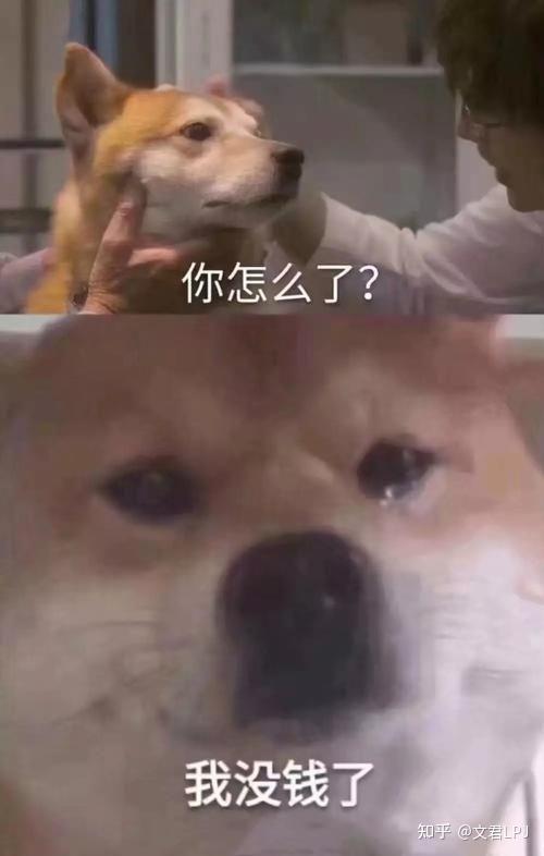 为什么感觉越来越多的年轻人都在专心搞钱这是否说明我们的消费观念