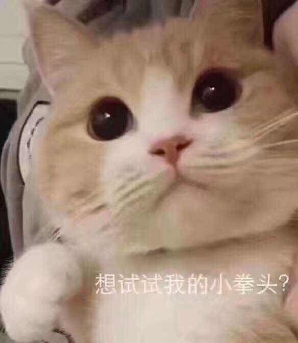 有什么适用于和老公/男票撒娇的可爱表情包?