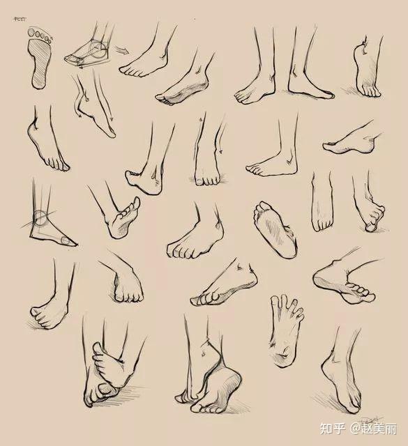 绘画参考动漫人体脚部素材