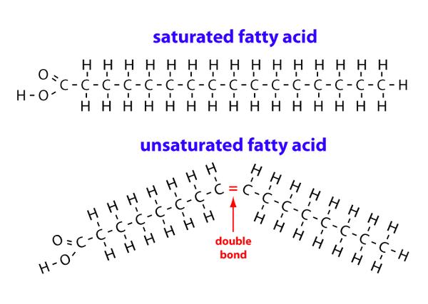 饱和脂肪酸为直直的一条链,而不饱和脂肪酸因为有个双键,在空间结构上