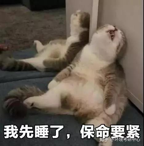 考研要不要熬夜看书啃真题