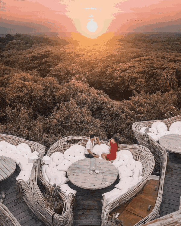 没电没网没空调还18禁!这家树屋酒店凭什么一睡千金?