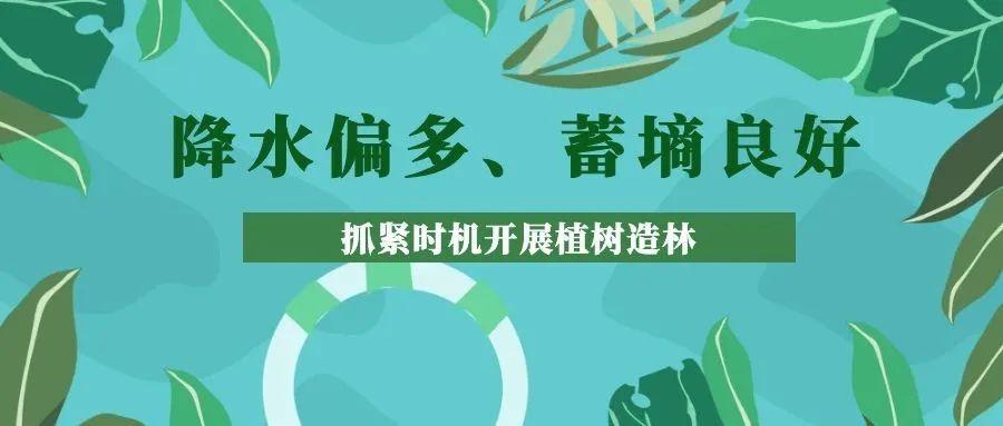 气象报社 出品审核:段昊书作者:中国气象报全媒体记者 叶奕宏微信编辑