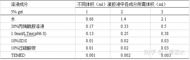 蛋白质印迹Western blotting WB实验详细操作 知乎