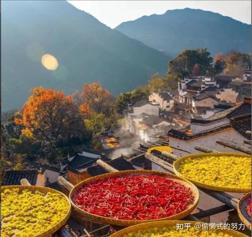 上饶市婺源县篁岭的注意点尤其是自由行