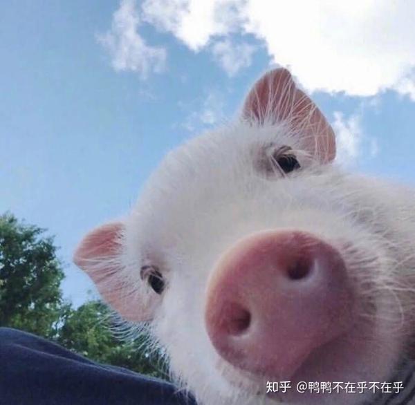 微信头像会影响第一印象吗?