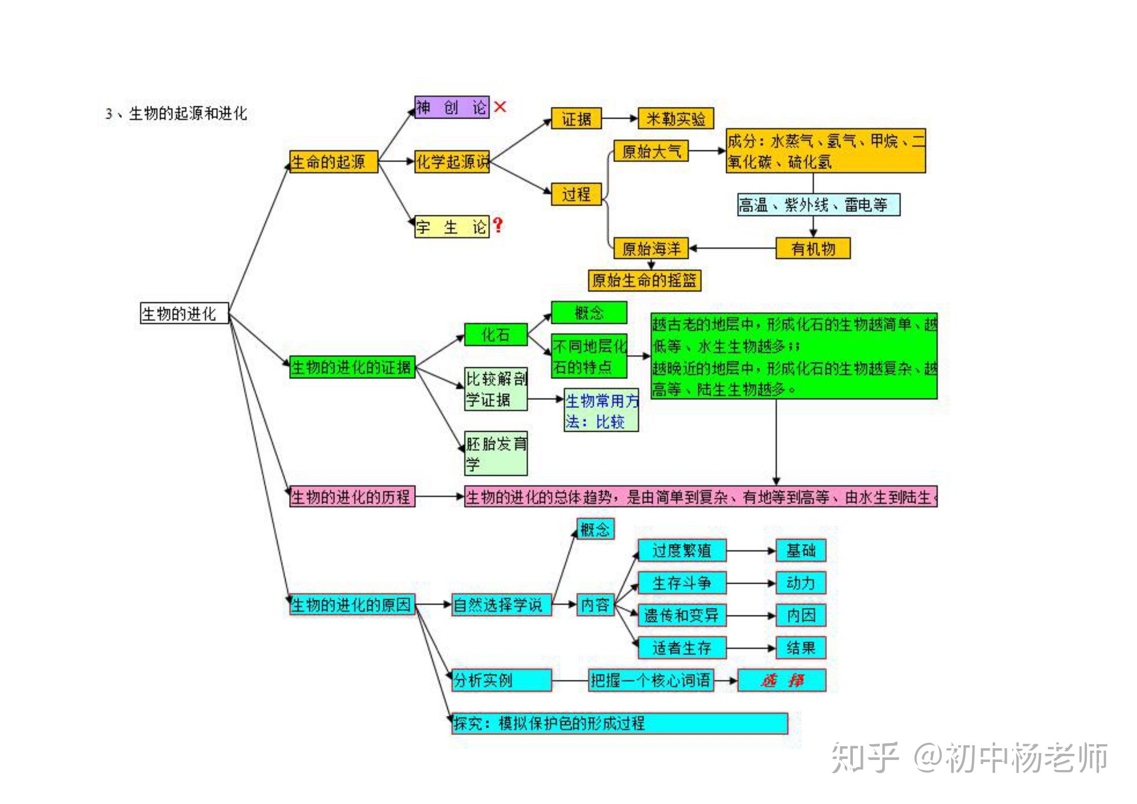 初中生物知识点思维导图